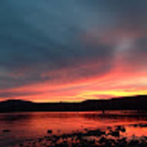 Meet your Posher, Sophia